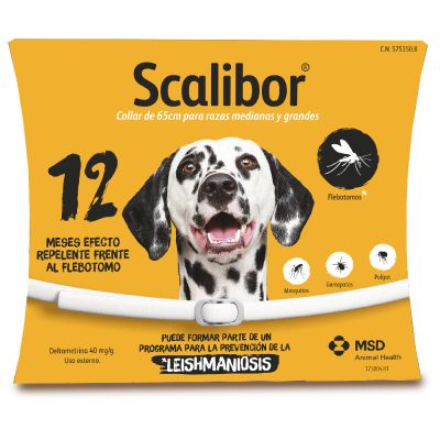 Collar Scalibor 65cm