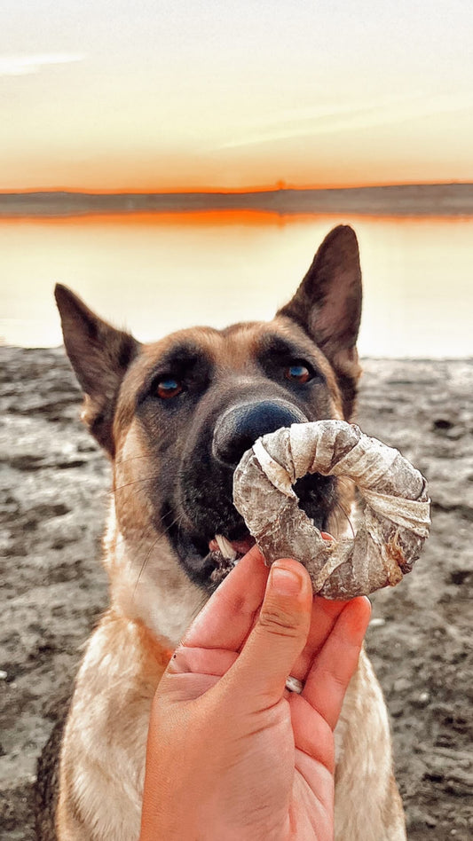 Donut de piel de bacalao